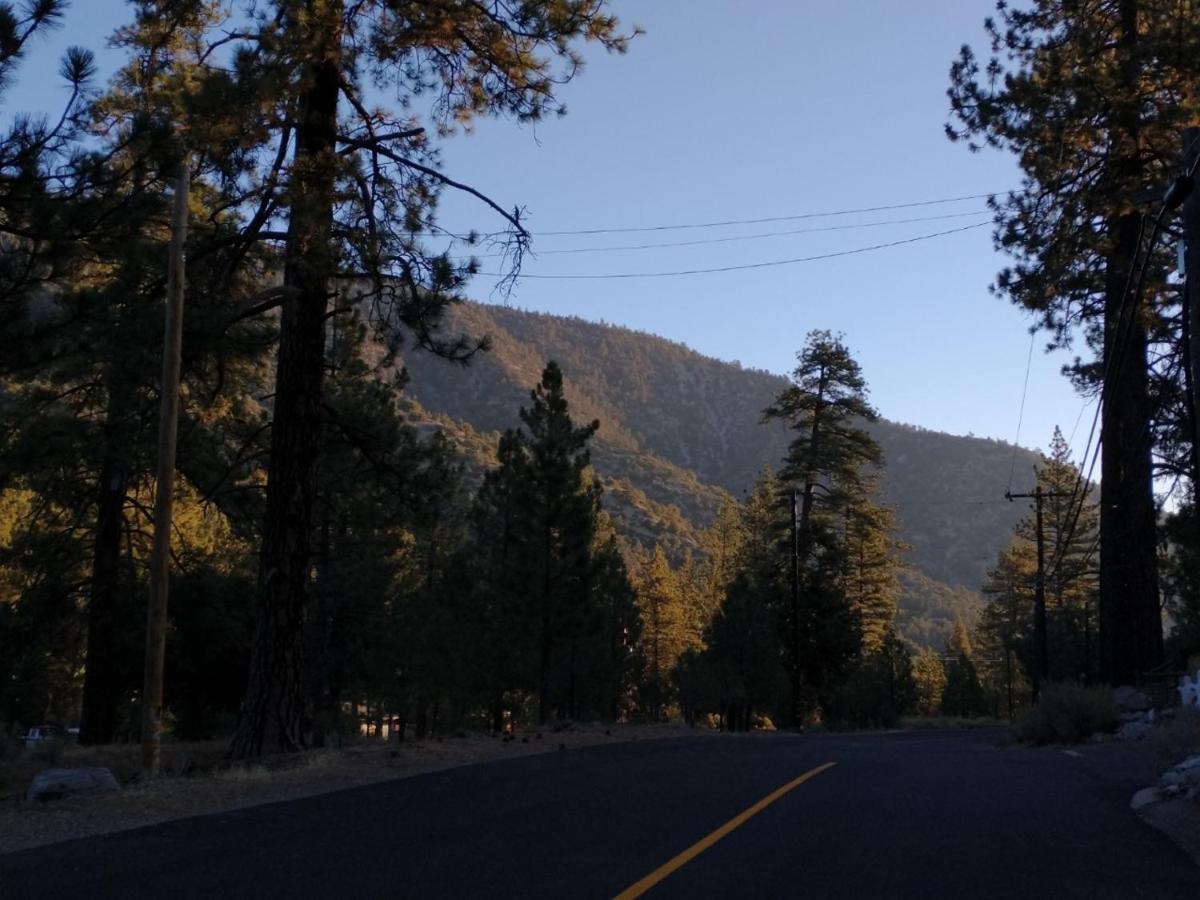 The Old Bear Bnb Pine Mountain Club Esterno foto