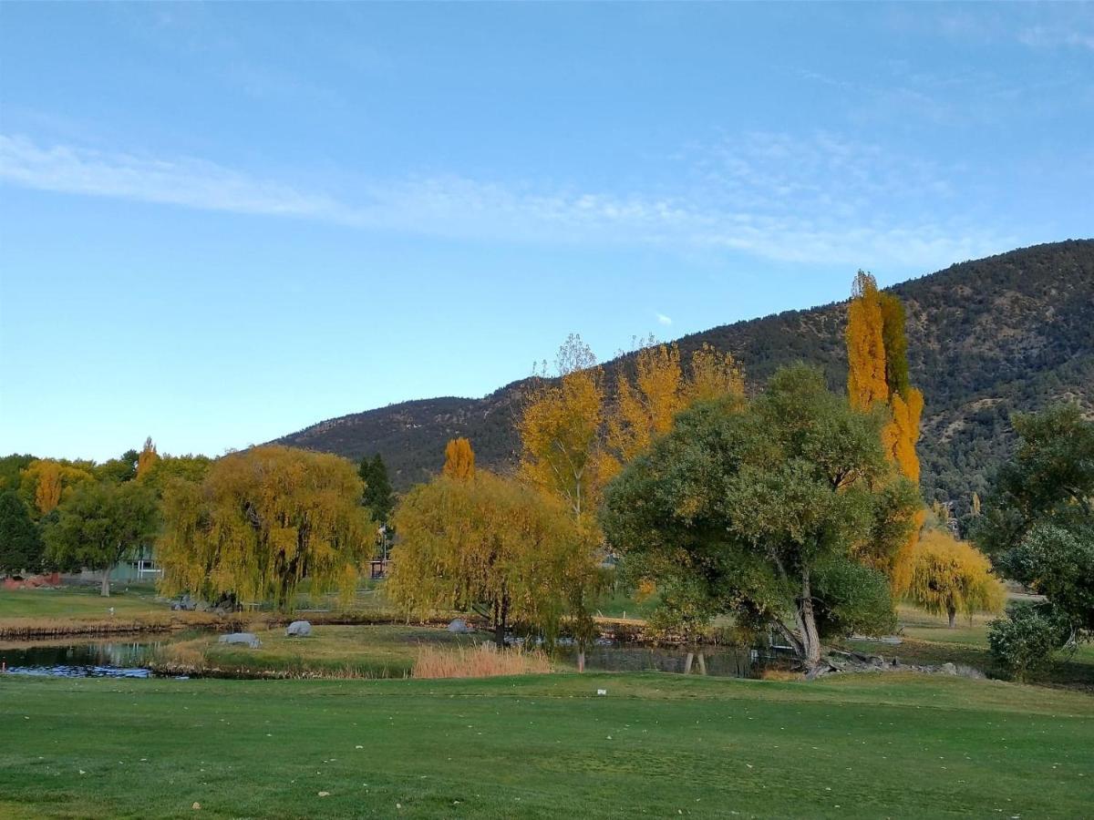The Old Bear Bnb Pine Mountain Club Esterno foto