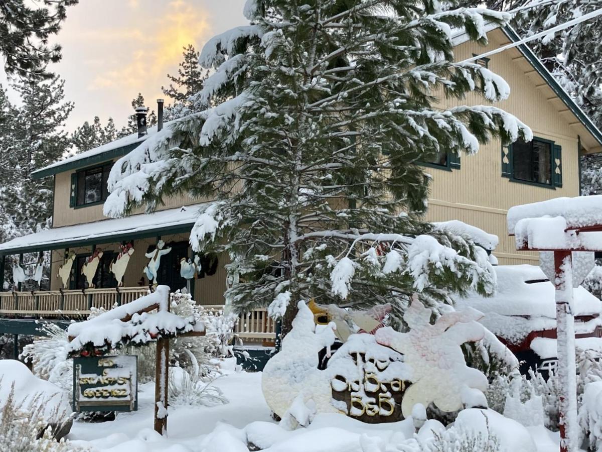 The Old Bear Bnb Pine Mountain Club Esterno foto